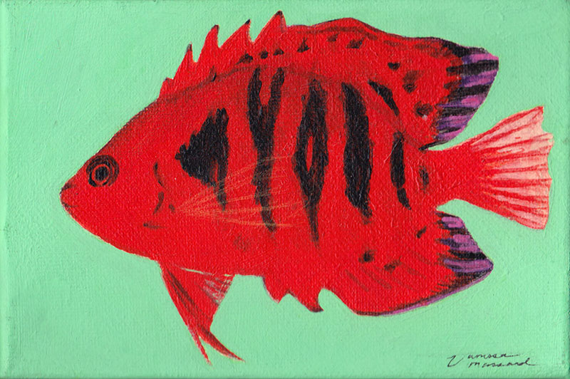 Deep orange fish with black stripes against green background.