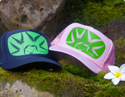 Navy and pink hats printed with fern motifs.