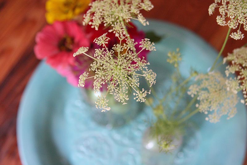Flowers in glass vase on blue plate.