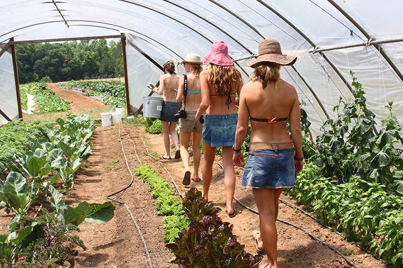 Four women walking through a green house.